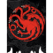 旗